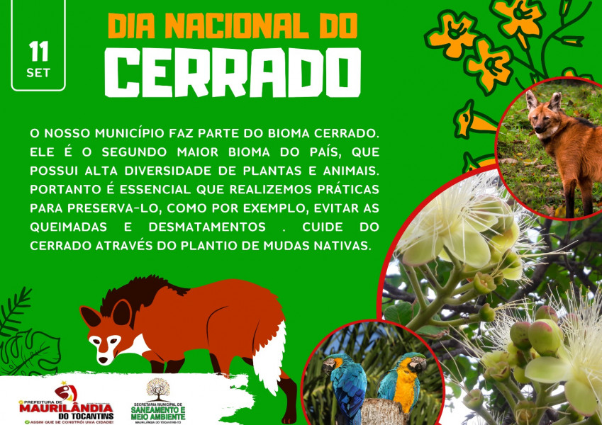 11 de Setembro! Dia Nacional do Cerrado!